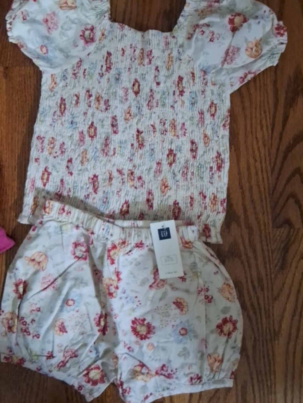 GAP Girls Light Blue Floral Smocked 2 Piece Set